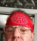 Pipdrmm
